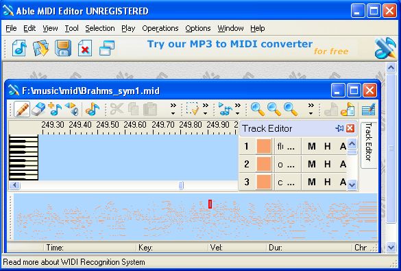screenshot of midi music editing tool