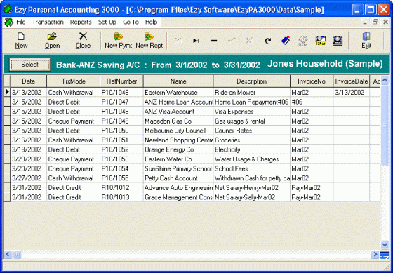 Ezy Personal Accounting 3000