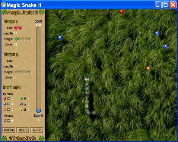 Daytime - Magic Snake II
