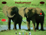 The Screenshot of PacElephant