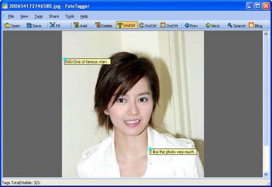 Screenshot of FotoTagger