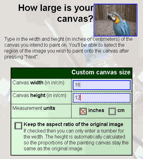 How large is your canvas