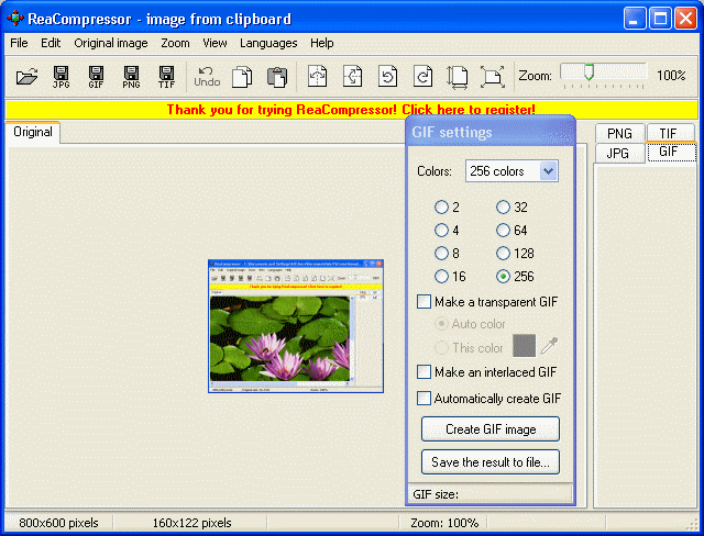 screenshot - GIF settings