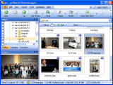 ACDSee 8 Photo Manager 