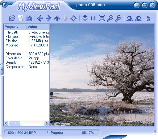 The Screenshot of MyViewPad