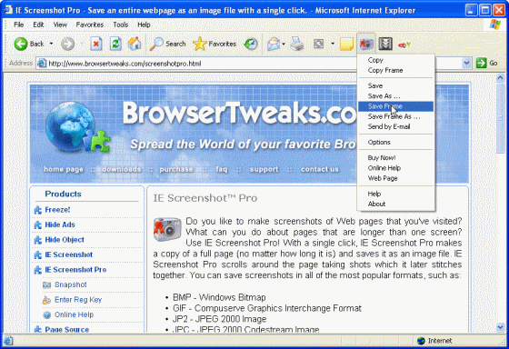 IE Screenshot Pro