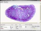 The Screenshot of GSA Image Analyser