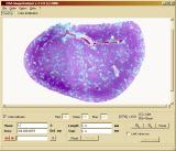 GSA Image Analyser