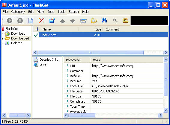 FlashGet - download information