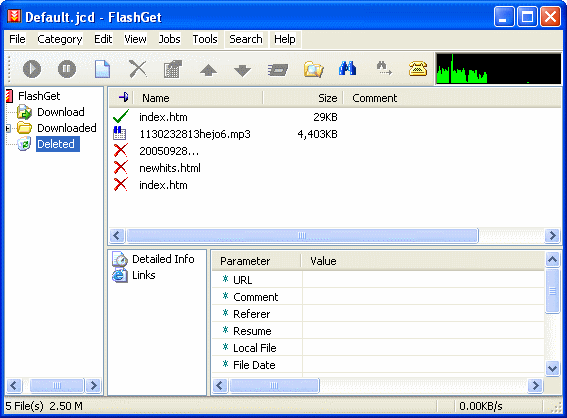 FlashGet - deleted file and information