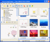 Internet Image Browser