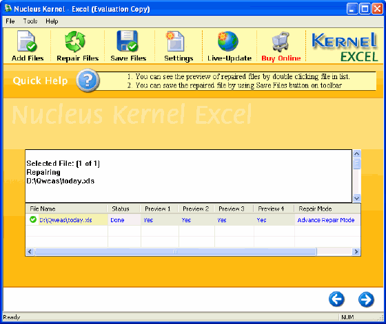 Nucleus Kernel Excel File Recovery