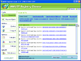 AMUST Registry Cleaner