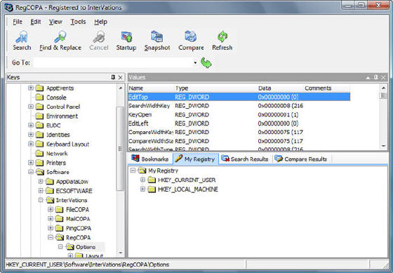 Main interface of RegCOPA Registry Editor