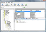 RegCOPA Registry Editor