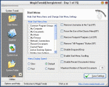 Main window of MagicTweak