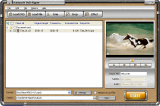 Screen of Daniusoft DVD Ripper 