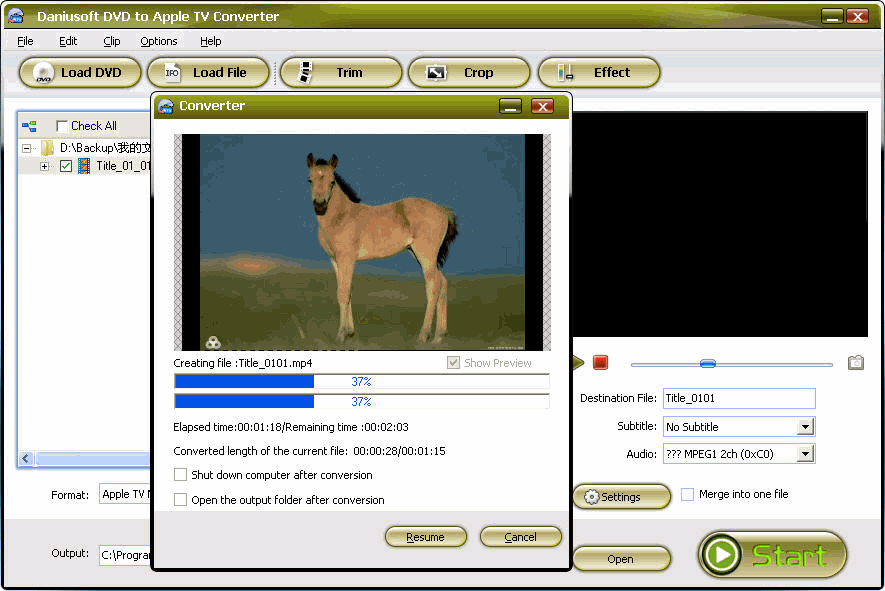 Daniusoft DVD to Apple TV Converter