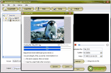 Screen of Daniusoft DVD to Creative Zen Converter