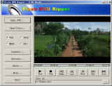 convert DVD to AVI Mpeg etc. - Flash DVD Ripper