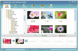 Wondershare Flash SlideShow Builder