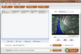 Large screen of Daniusoft Video to Creative Zen Converter