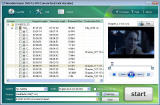 Wondershare DVD to RM Converter