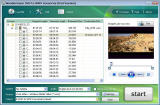 Wondershare DVD to WMV Converter