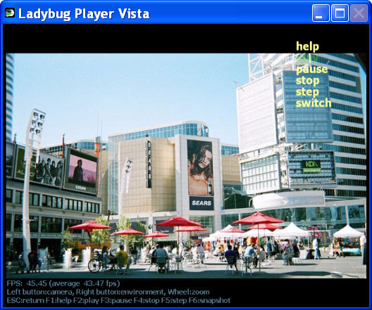 Video - Ladybug Player Vista