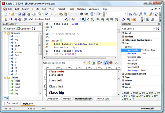 main window - screenshot of Rapid CSS 2008 