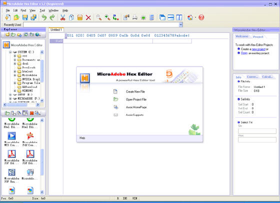 The Screenshot of MicroAdobe Hex Editor 