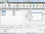 AVS Audio Converter