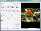 Convert and burn AVI video files to DVD