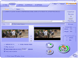Cucusoft Video Converter Pro Mpeg/Mov/rm/AVI to DVD/VCD/SVCD