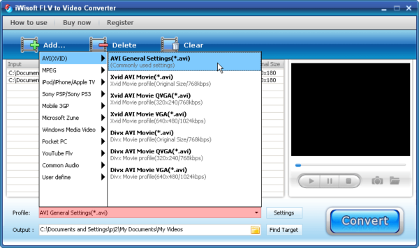 iWisoft FLV to Video Converter