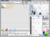 RZ FLV Converter