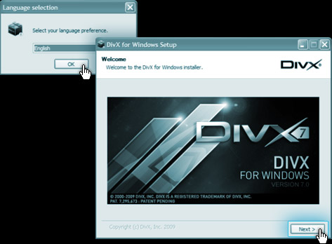 
DivX for Windows