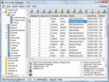 xBaseView Database Explorer