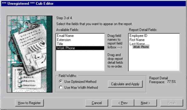 Cub Editor for MS Access