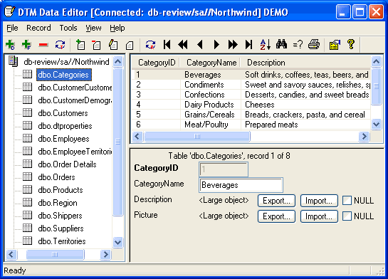 DTM Data Editor