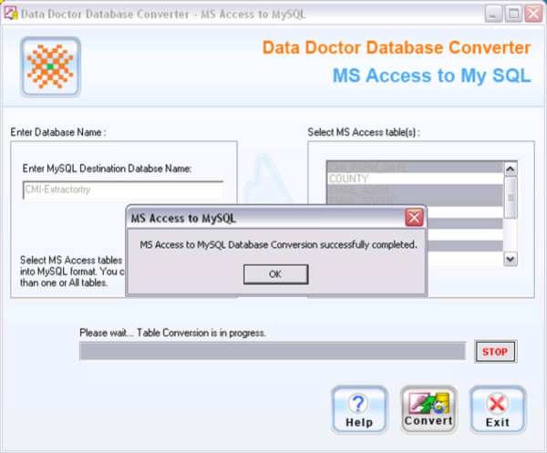 MS Access Db Converter