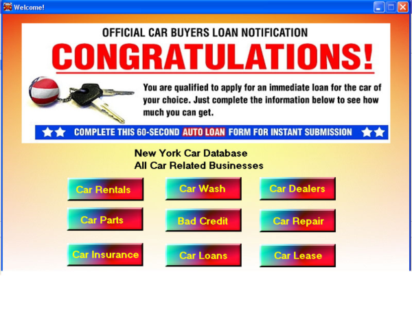 New York Car Database
