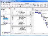 RationalPlan Multi Project