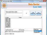 Bulk Text Messaging Program