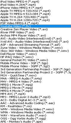 convert WMV MP4 3GP RMVB AVI to Youtube Video