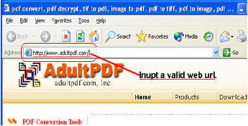 convert html to PDF, create PDF from valid URL in IE