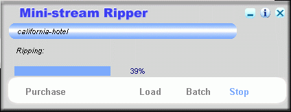 RA RM to MP3 Converter