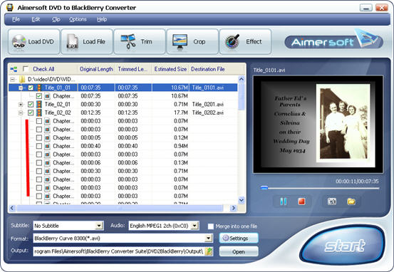 convert/rip DVD movie to BlackBerry AVI