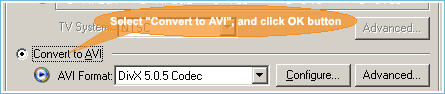 Alive Video Converter 