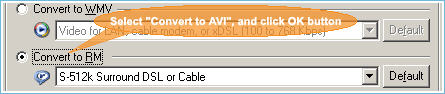 AAlive Video Converter 